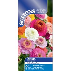 Suttons Zinnia Faberge Mix Seeds