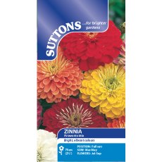 Suttons Zinnia Fireworks Mix Seeds