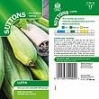 Suttons Luffa Seeds