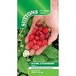 Suttons Strawberry Alpine Regina Seeds