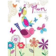 Carson Higham Mother's Day Card Special Mum