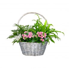 Horti House Mother's Day Luxury Basket Planter