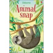 Usborne Snap Cards Game Assorted