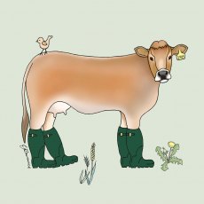 Hooli Mooli Jersey Cow Farm Card