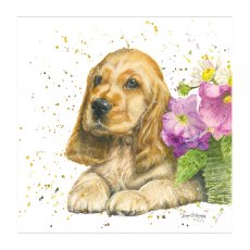 Bree Merryn Cody Dog Card