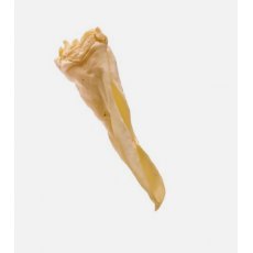 Doodles Deli Air Dried Goat Ears