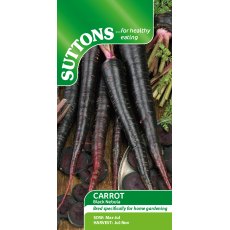 Suttons Carrot Black Nebula Seeds