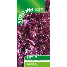 Suttons Lettuce Sulfita Seed