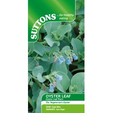 Suttons Oyster Leaf Seed