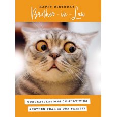 Picture This Surviving Another Year Brother In Law Birthday Card