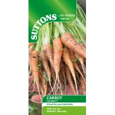 Suttons Carrot Daucus Carruba F1 Seeds
