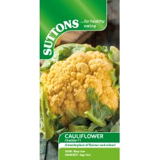 Suttons Cauliflower Cheddar F1 Seeds