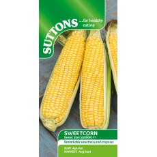 Suttons Sweetcorn Zea Sweet Start F1 Seeds