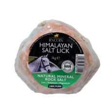 Lincoln Himalayan Salt Lick