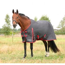 Hyconic Turnout Rug 0g Grey/Red