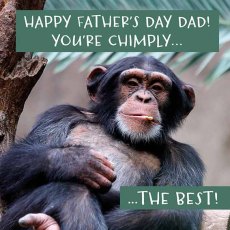 Father's Day Chimply The Best Card