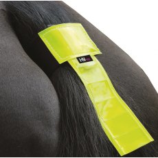 HyViz Tail Band