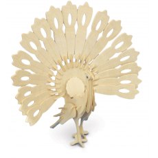 Quay Parrot Wooden Craft Kit