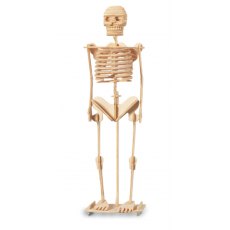 Quay Skeleton Wooden Craft Kit