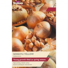 Taylor's Bulbs Senshyu Yellow Onion Set 50