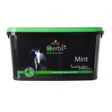 Lincoln Herbs Mint Refill Pouch 400g