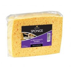 Lincoln Sponge