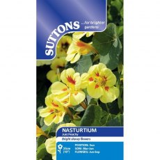 Suttons Peach Nasturtium Seeds
