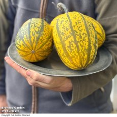 Suttons Stripetti Squash F1 Seeds