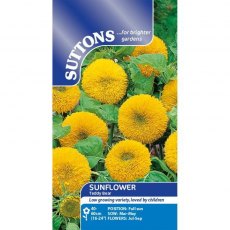 Suttons Teddy Sunflower Seeds