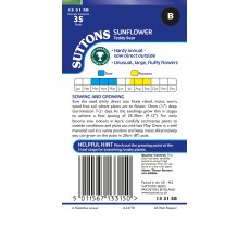 Suttons Teddy Sunflower Seeds