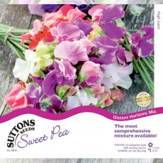 Suttons Distant Horizons Sweet Pea Seeds