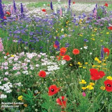 Suttons Garden Annuals & Perennials Mix Seeds