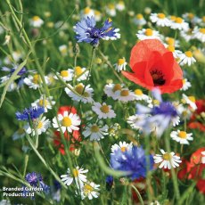 Suttons Ultimate Wildflower Mix Seeds