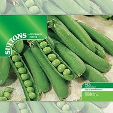 Suttons Mucio Pea Seeds