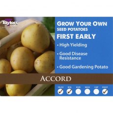 Taylor's Bulbs Accord Seed Potatoes 2kg