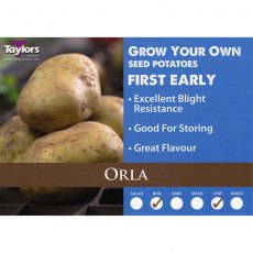 Taylor's Bulbs Orla Seed Potatoes 2kg