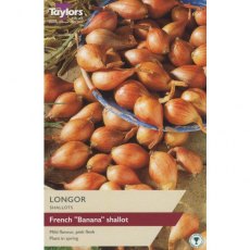 Taylor's Bulbs Longor Shallot Bulbs