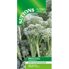 Suttons Brocolli Brassica Italica Tenderette Seeds