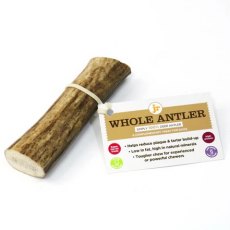 J R Pet Whole Deer Antler Dog Treat