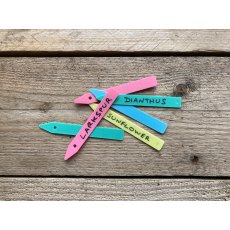 Tildenet Coloured Plant Labels 4"