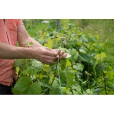 Tildenet Natural Galvanised Garden Wire