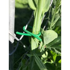 Tildenet Slim Sponge Tie 8mm