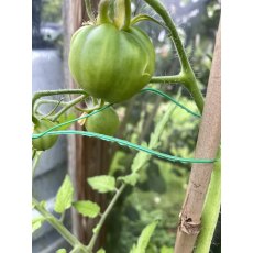 Tildenet Single Twist Tie Green 30m