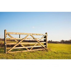 Ruby Diamond Brace 5 Bar Wooden Field Gate H 1.2m