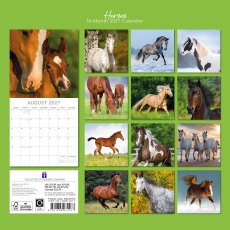 Gifted Stationary Square Horses Calendar 2027