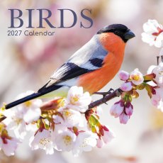 Gifted Stationary Square Birds Calendar 2027