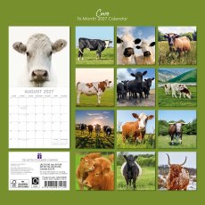 Gifted Stationary Square Cows Calendar 2027