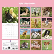 Gifted Stationary Square Baby Farm Animals Calendar 2027