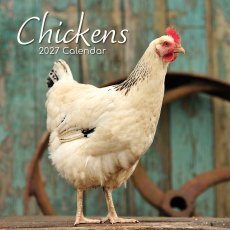 Gifted Stationary Square Chickens Calendar 2027