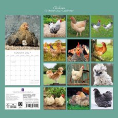 Gifted Stationary Square Chickens Calendar 2027